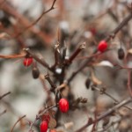 December