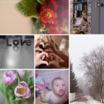 Project 365 by Nadya Rubina