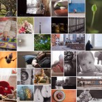 Project 365 week collage