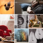 Project 365 by Nadya Rubina