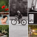 Project 365 by Nadya Rubina